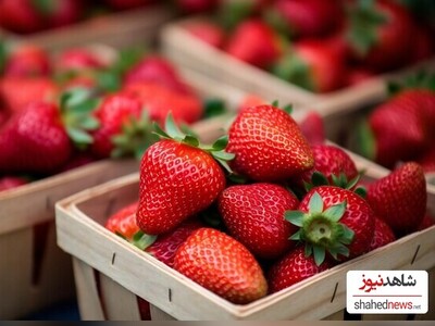 [فيديو] صبي يأكل 100 لتر من الفراولة!🍓 + لمحة عن تناول الطعام التنافسي